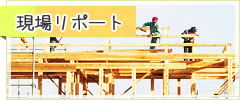 現場リポート