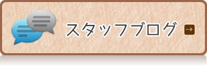 スタッフブログ