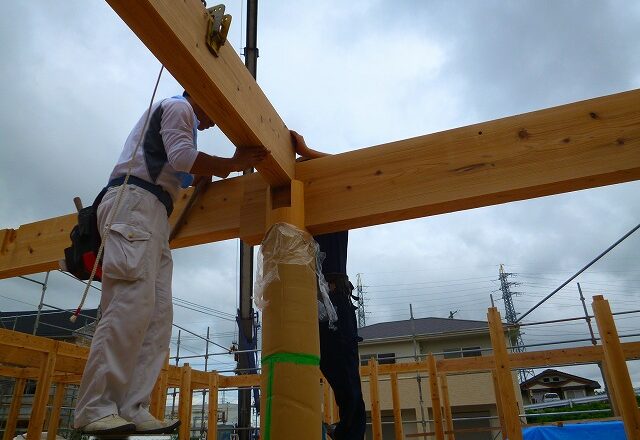 小屋組が組まれています